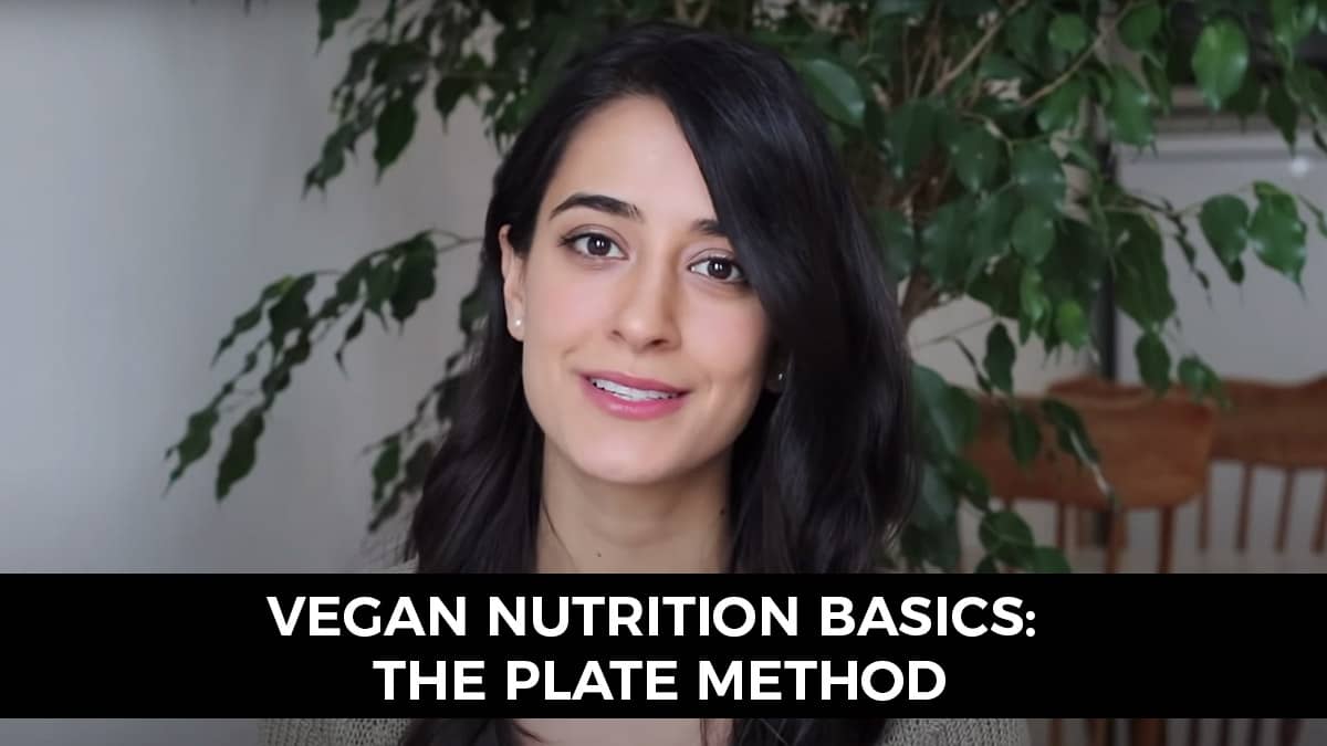 VEGAN NUTRITION BASICS FOR GOING VEGAN - The Plate Method
