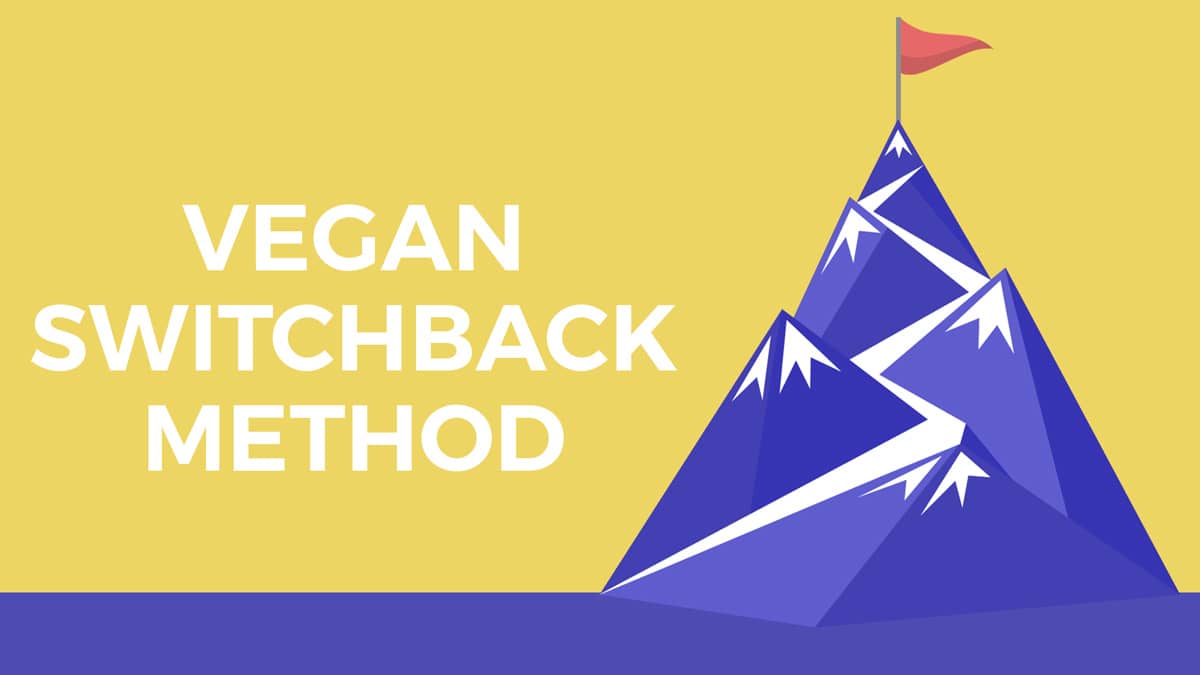 Vegan Switchback Method