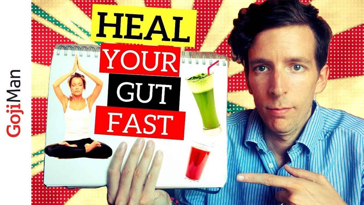 How To Heal Your Gut On A Vegan Diet FAST