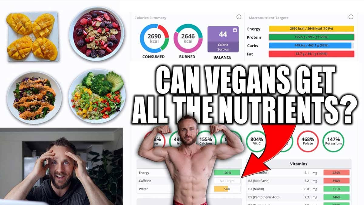 What I Eat To Stay Fit Healthy Vegan Nutrient Analysis MACROS