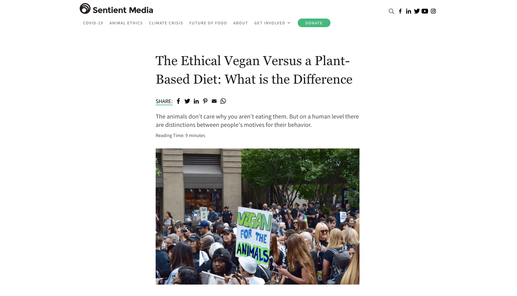 Going vegan? Or plant-based? And what's the difference?
