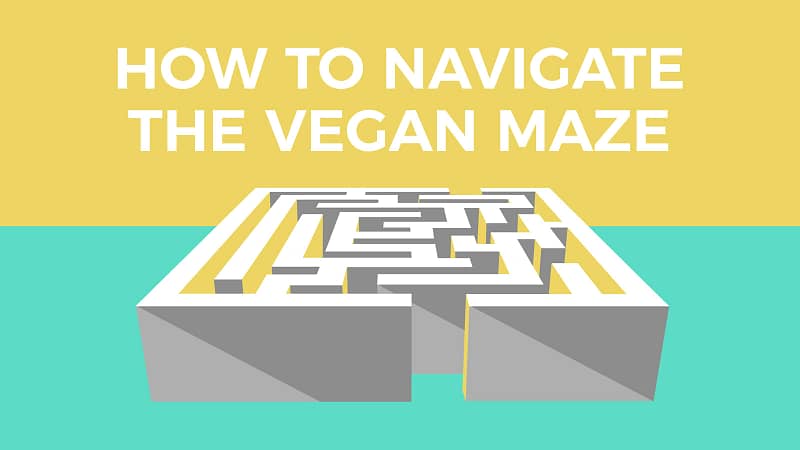 Going Vegan And Staying Vegan How To Navigate The Vegan Maze