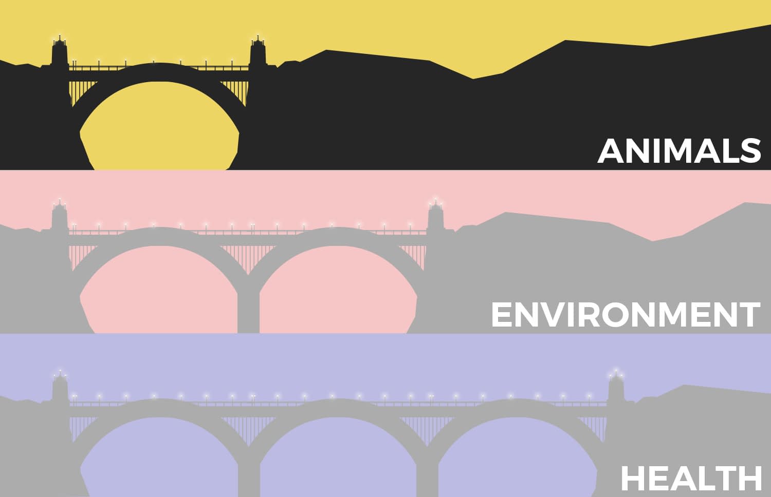 Bridge the shortest distance