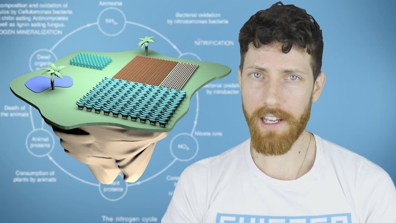 Will going vegan solve world hunger?