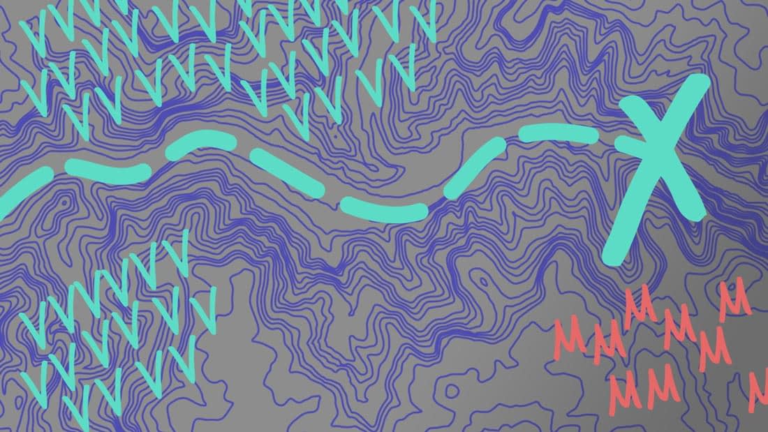 Topographic map of vegans VS meat eaters