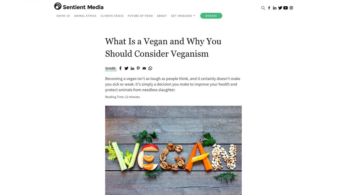 What Is a Vegan and Why You Should Consider Veganism