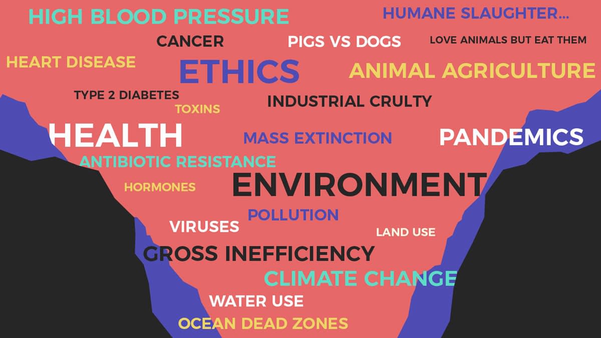 Why evaluating non vegans interests is so important