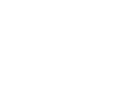 Bits px