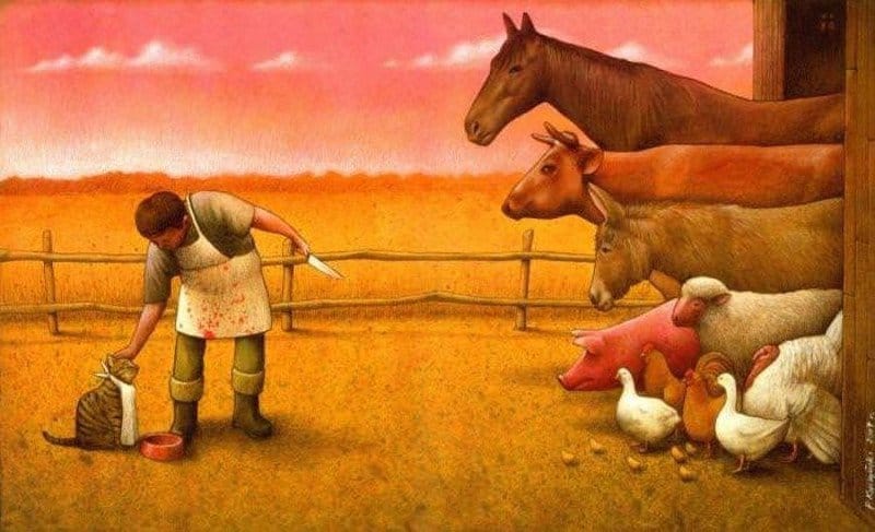 Pets VS Farm Animals Cognitive Dissonance